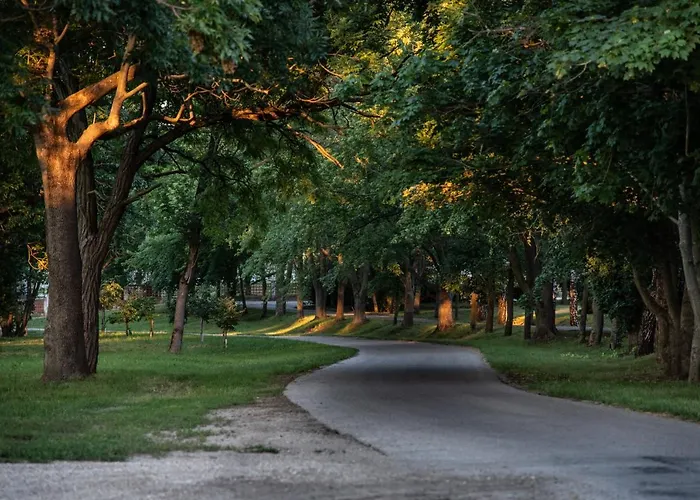 Slniecko * Dolny Ohaj