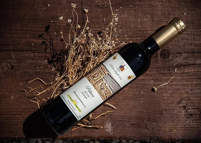 Slniecko Сasa de vacaciones Dolny Ohaj